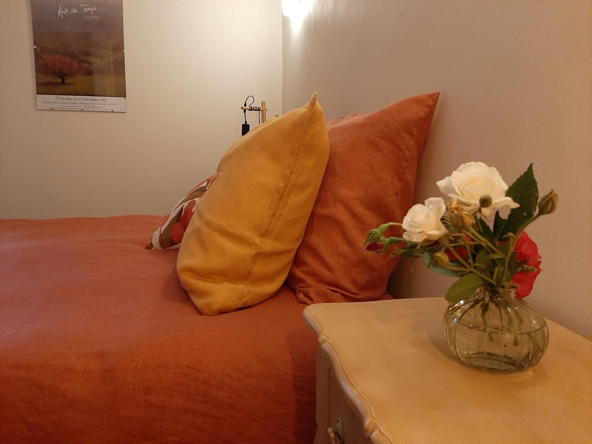 Vieille-Brioude Chambre D'Hotes Charme Et Nature المظهر الخارجي الصورة